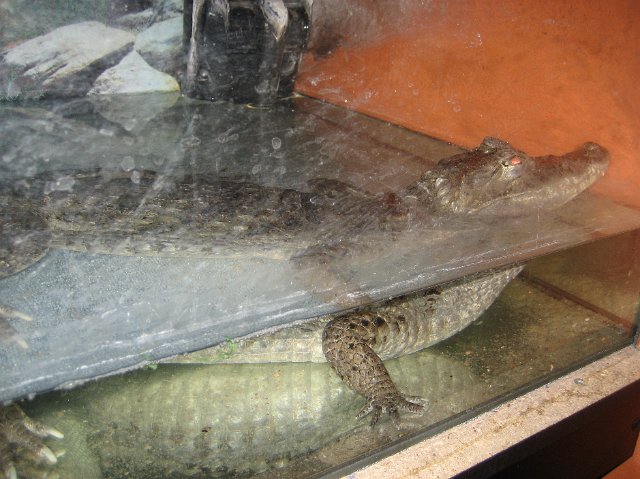 Brünn Sept.2012 019